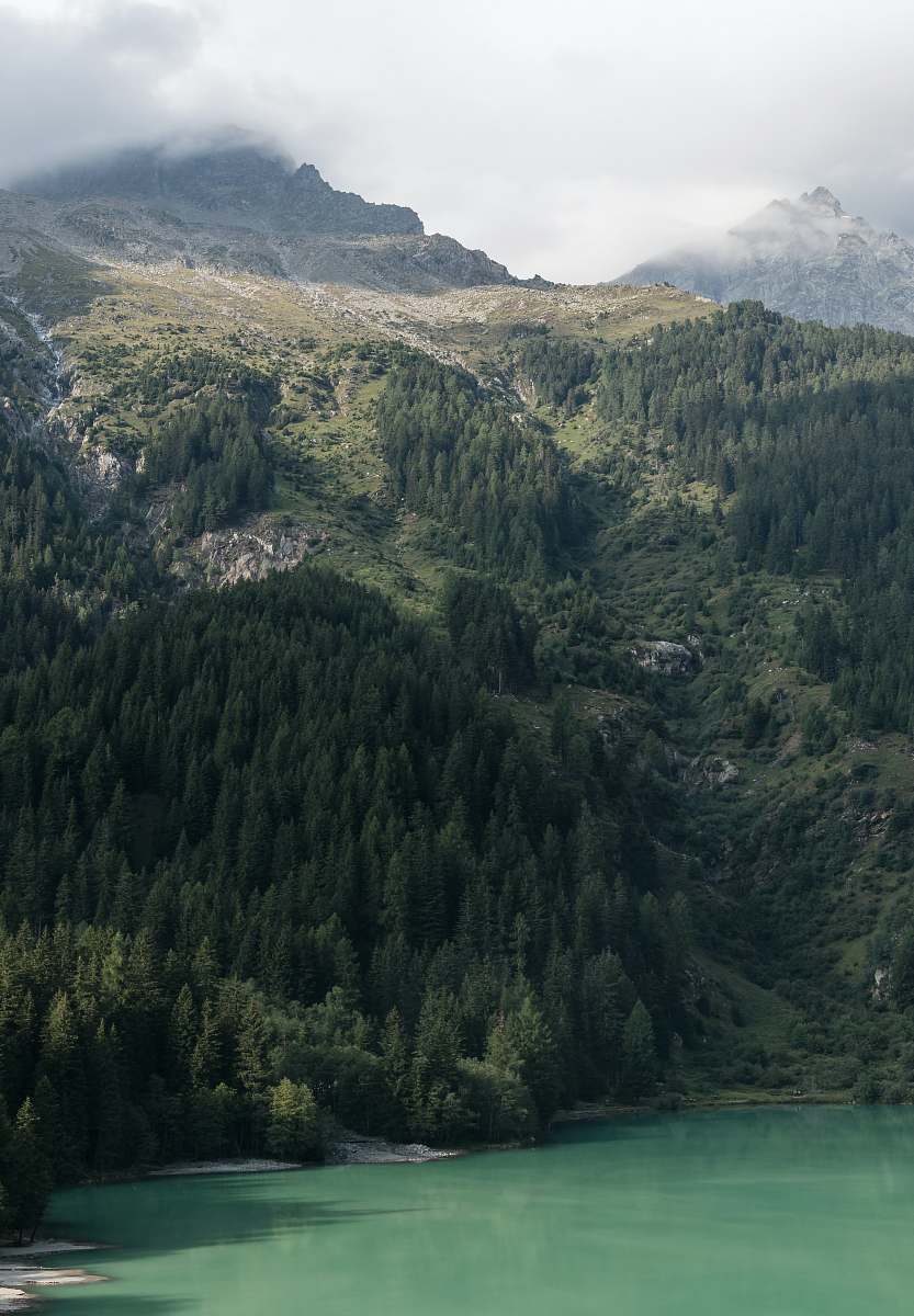 iphone backgrounds green trees and mountains near green body of water nature